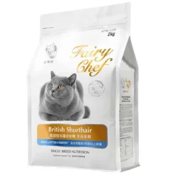 CATIDEA Fairy Chef British Shorthair